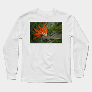 Bird of Paradise Flower Long Sleeve T-Shirt